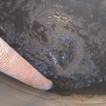 WhatsApp Image 2025-09-11 at 12.38.18 (2)